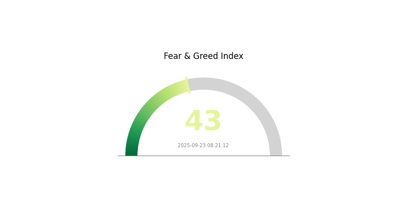 vix_image